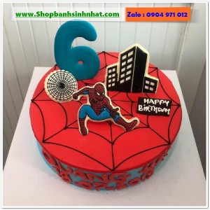 Bánh Sinh Nhật Siêu Nhân - US251